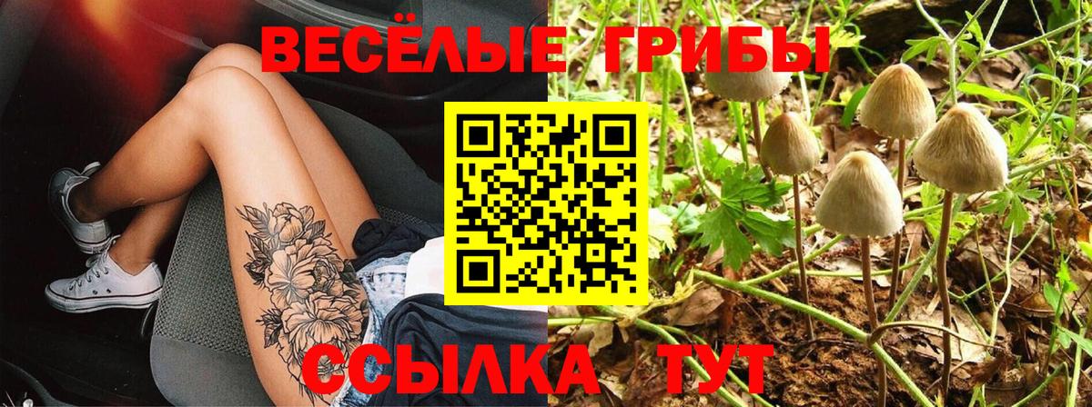 Кореновск  Галлюциногенные грибы Magic Shrooms  где купить наркоту  Вход с VPN 